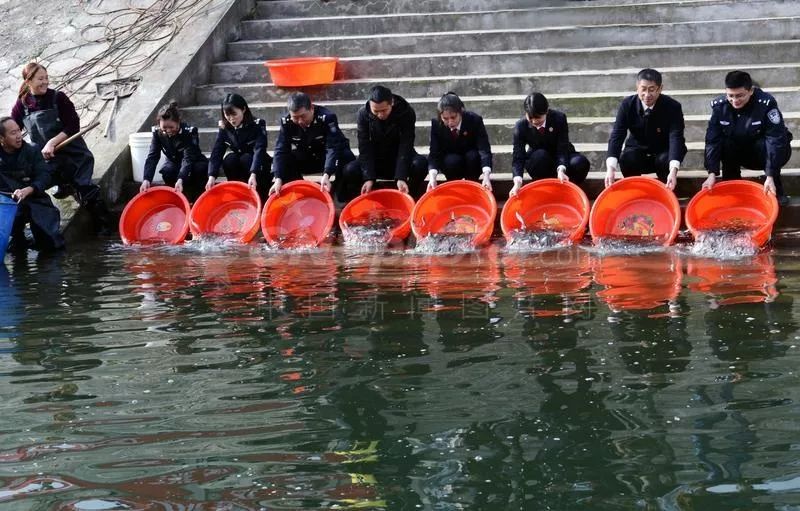 河里放生违法吗？解读放生行为的法律边界_资料解释