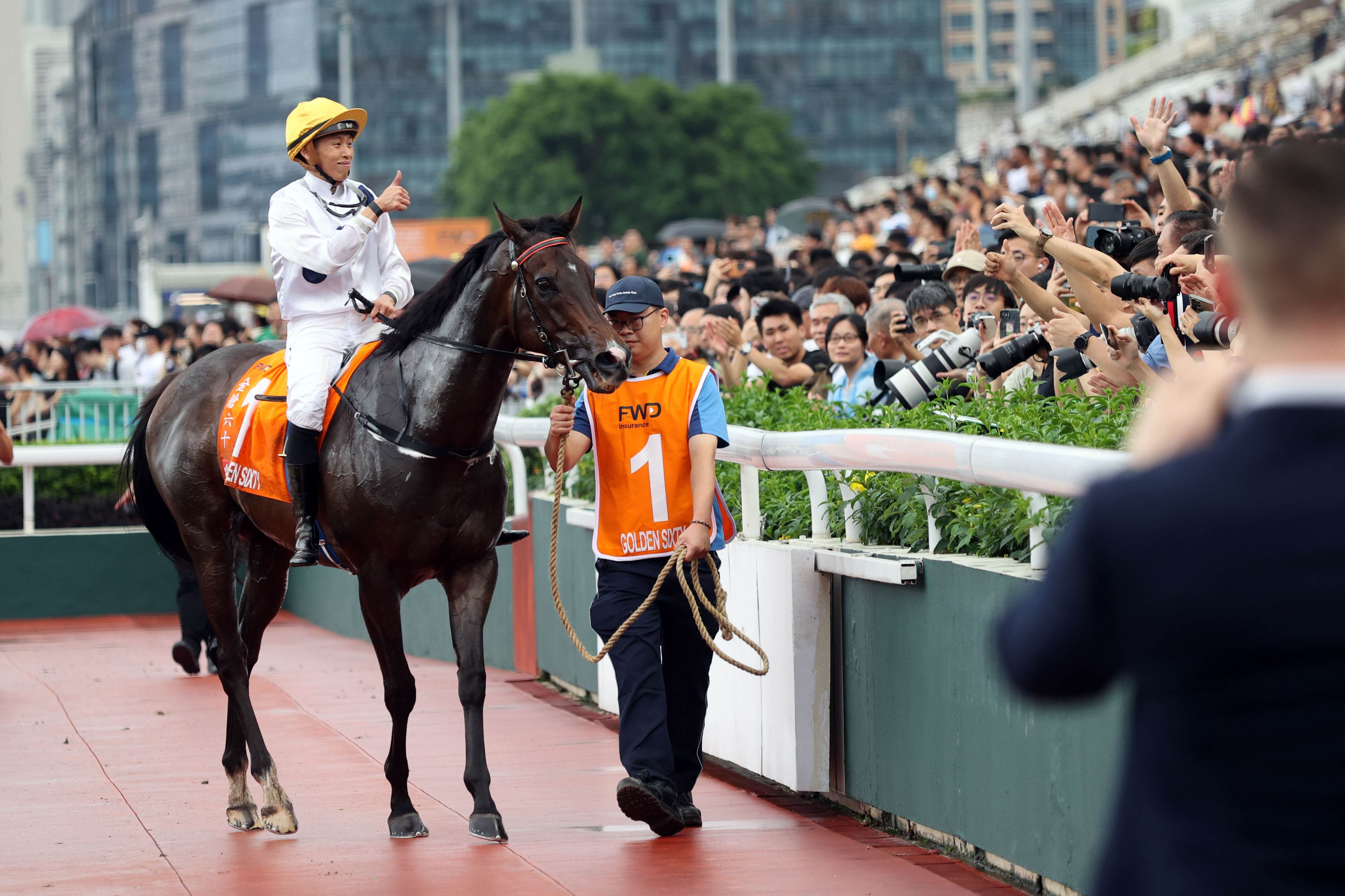 2024香港赛马全年免费资料,词语解释_D版79.156