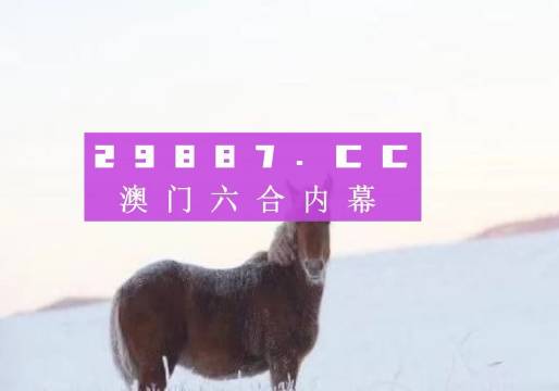 澳门精准一肖一码一码,明确落实_suite31.804