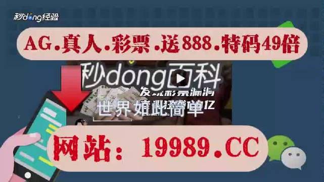 2024澳门天天开彩免费资料,细化落实_W47.26