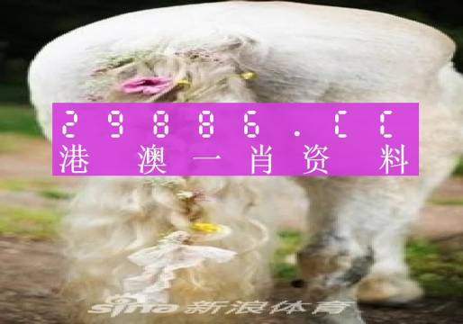 澳门一肖一码精准资料,最佳精选_战斗版89.344