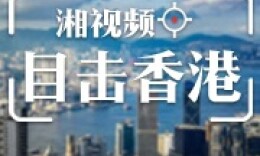 2024香港正版资料大全视频,说明落实_Prestige97.110