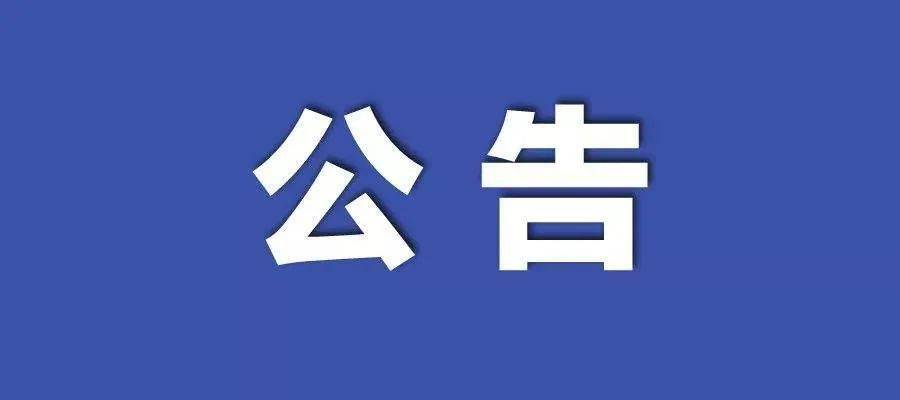 2024新澳门正版挂牌,全面解释落实_QHD29.517