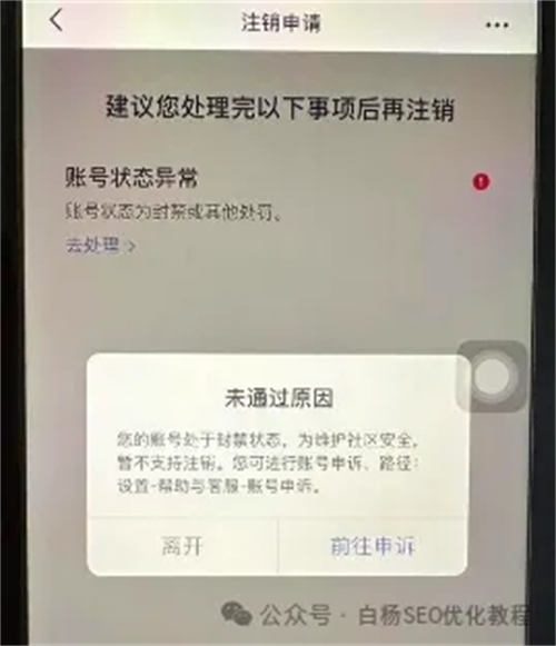 小红书封号事件深度解析_精密解答