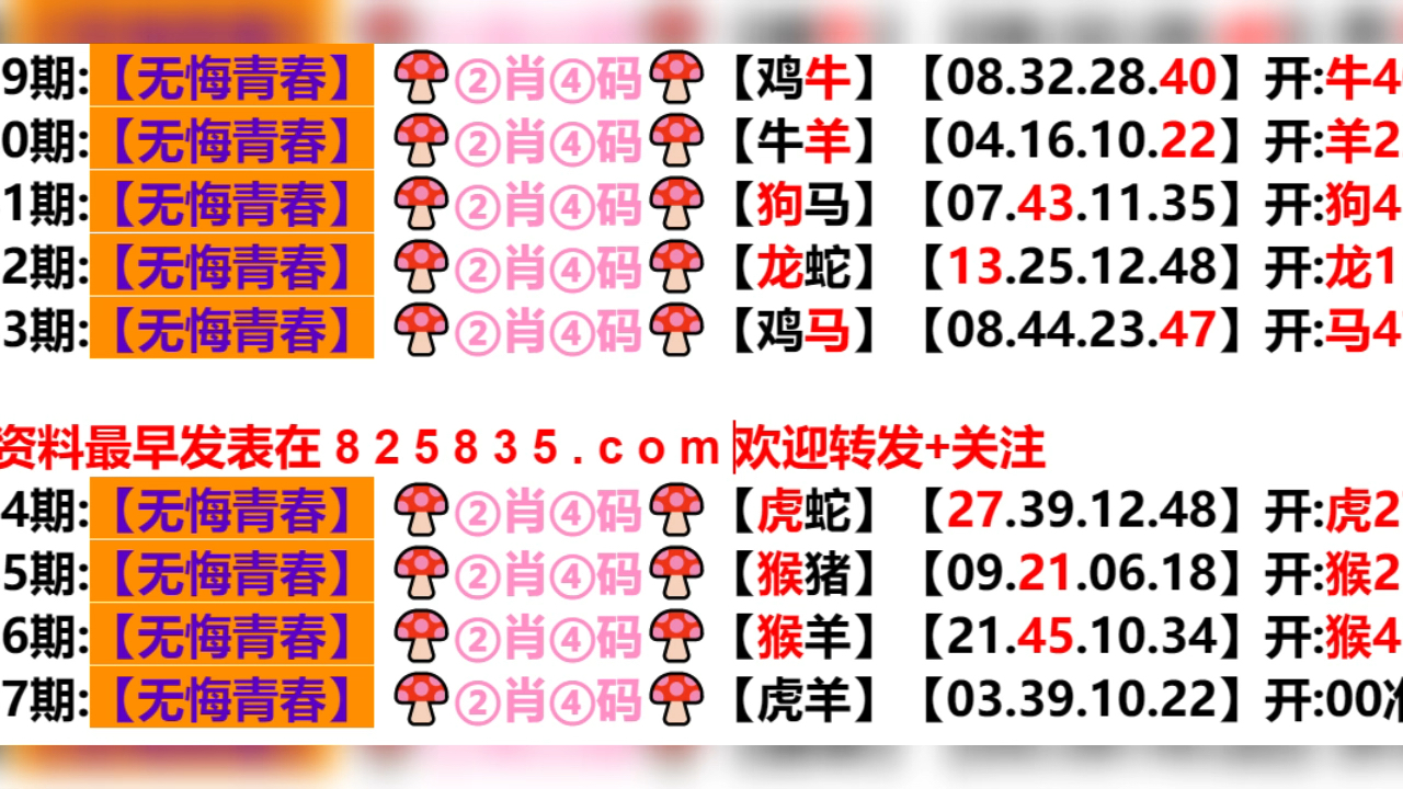 新奥门六开奖结果2024年查询