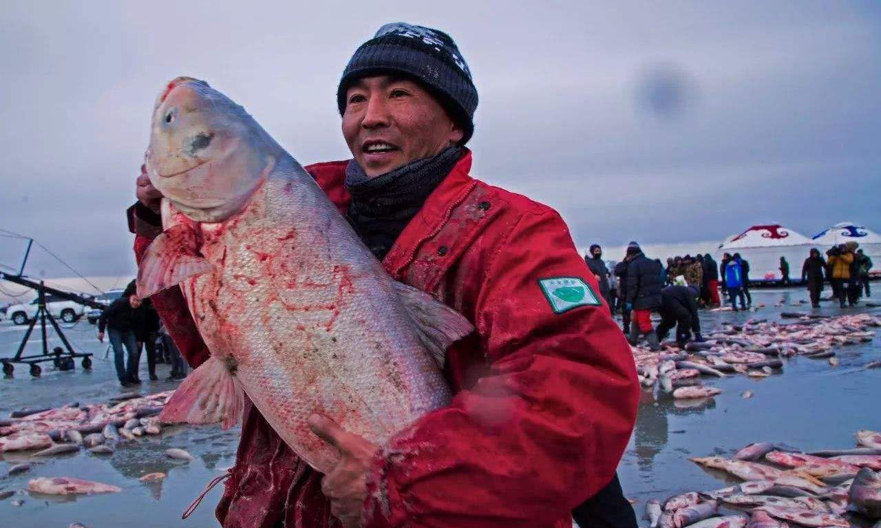 查干湖头鱼拍卖天价背后的故事