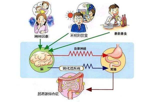 拉肚子会影响HCG翻倍吗？探究真相的背后