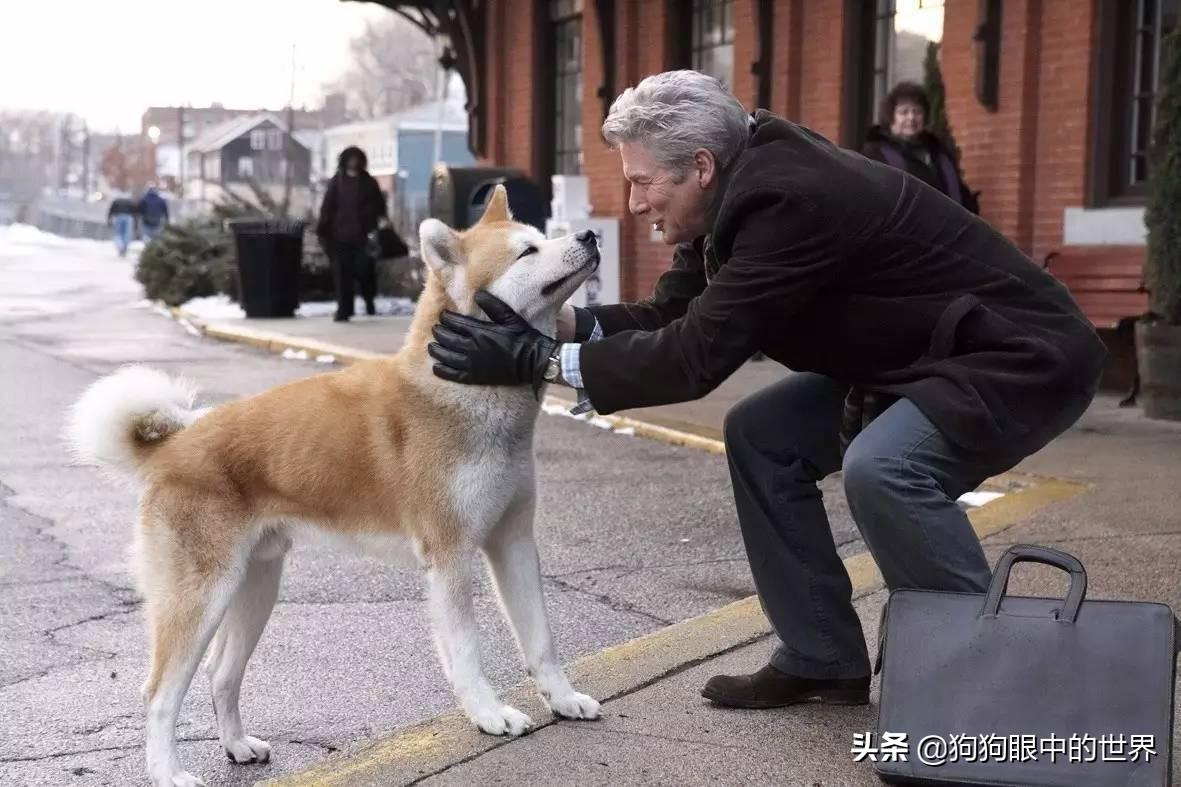 老人疑遭犬撕咬去世