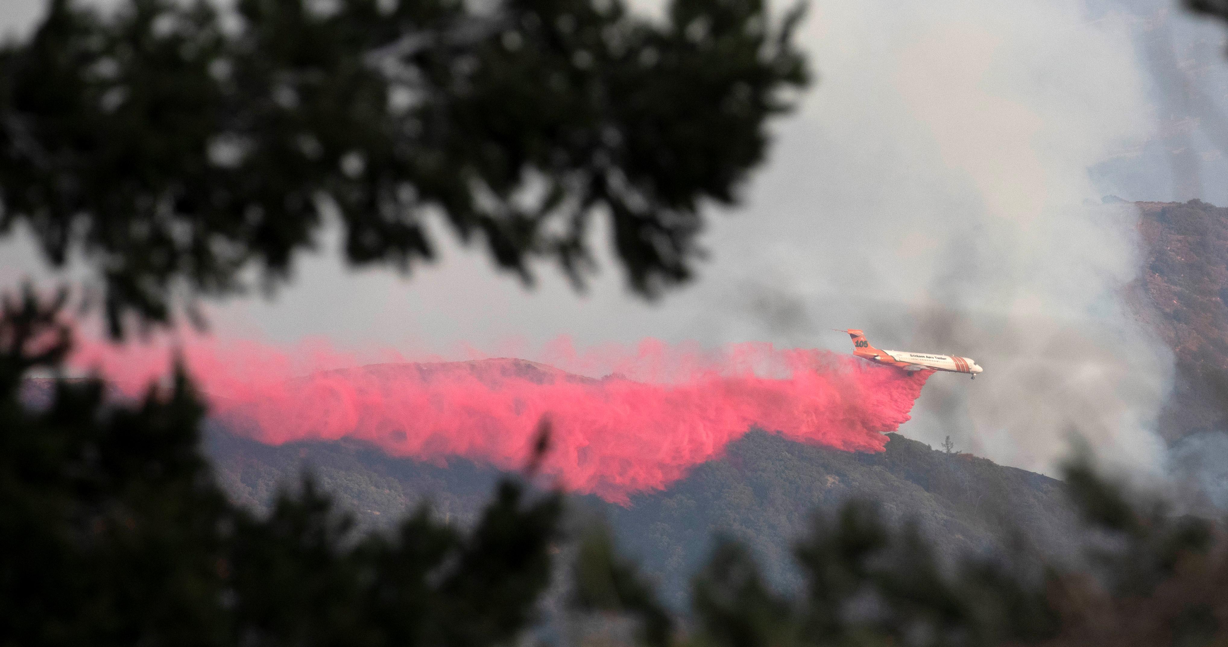 洛杉矶森林被山火烧毁后一片黑暗