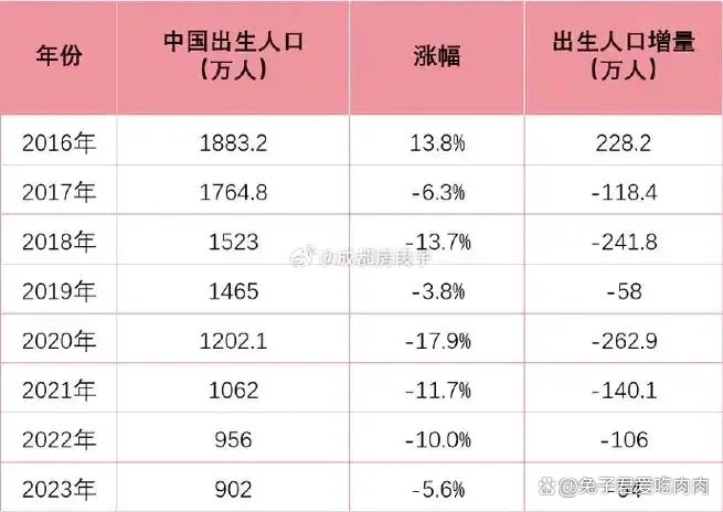 2024年出生人口回升，一场意料之外的人口学奇迹？