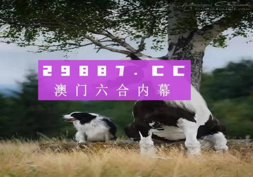 奥门一肖一码中资料_钻石版73.937——最佳精选落实