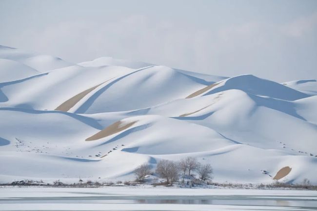 塔克拉玛干沙漠的罕见降雪，沙漠变雪域的奇迹与挑战