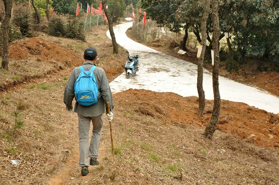 徒步650km回家过年，一场行走的坚韧与情感的碰撞