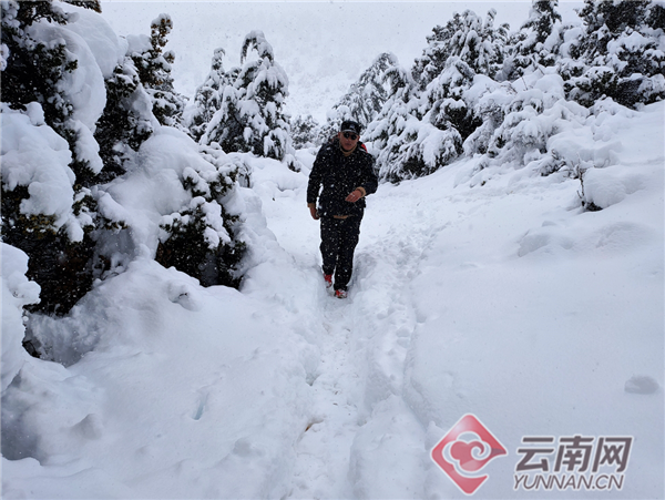 河南多地降下鹅毛大雪，一场冬日里的惊喜与挑战