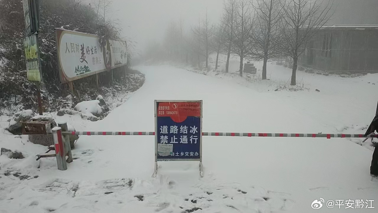 雪灾下的挑战与应对，79个路段因降雪封闭的启示