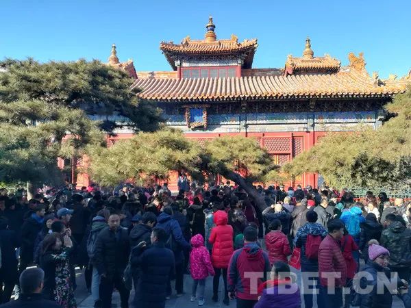 雍和宫现“抢头香”大场面