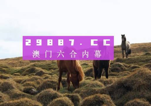 新闻动态 第37页