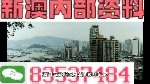 2025年2月3日 第55页