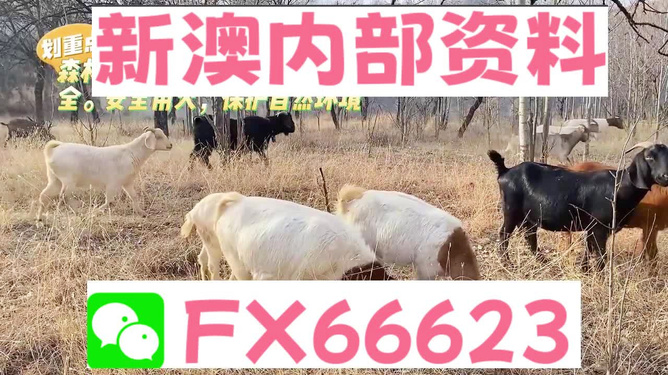 新澳2025今晚开奖资料四不像精选解释,新澳2025今晚开奖资料四不像_粉丝版53.665