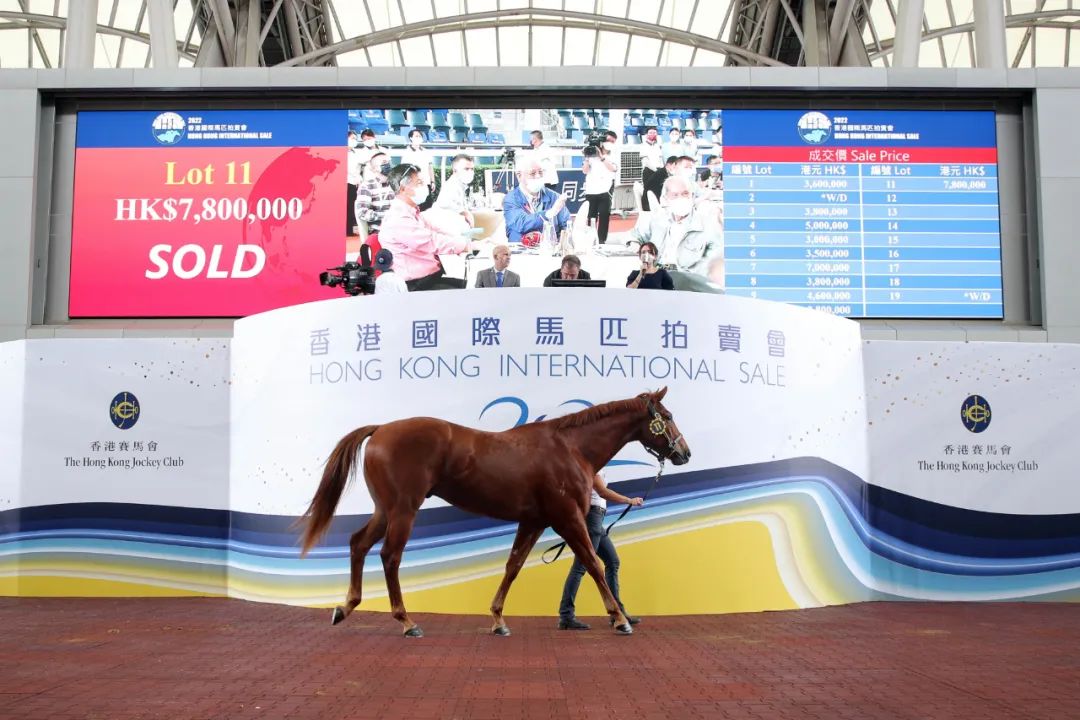 香港马买马网站www反馈目标和标准,香港马买马网站www_粉丝版37.935