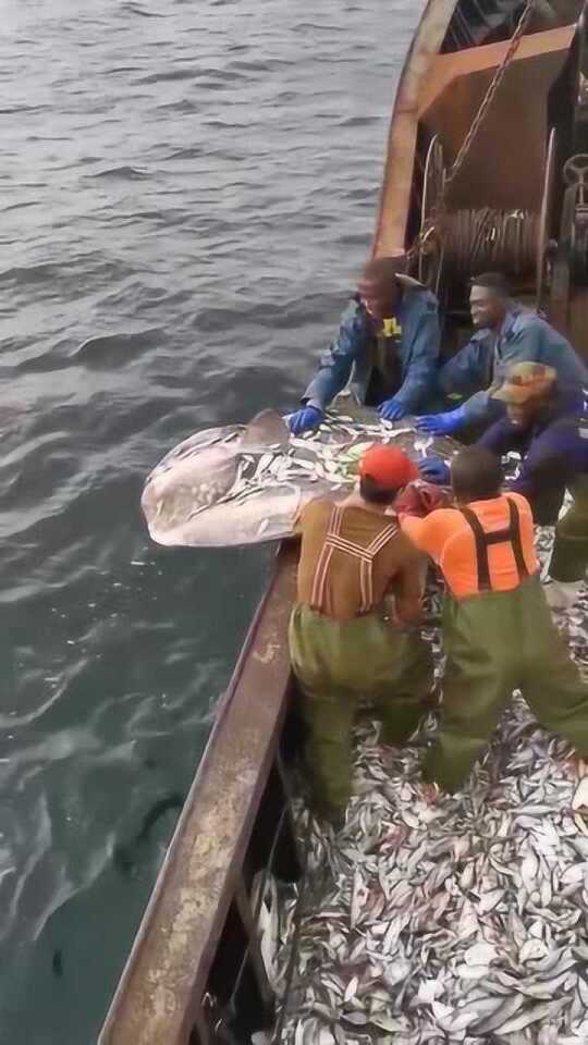 出海没钓到鱼却救了两人