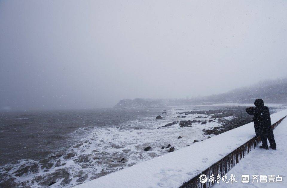 烟台暴风雪中的孤鲸，一场生命的挣扎与期待