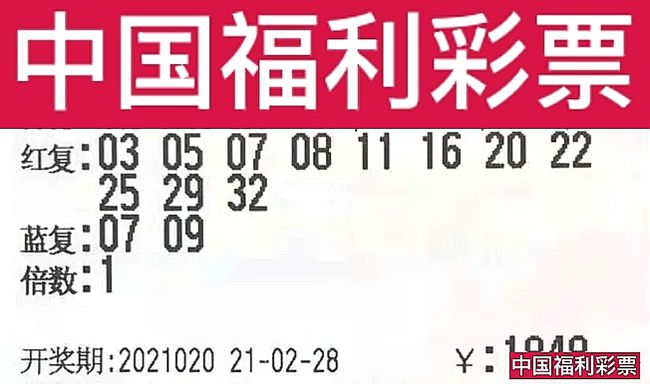 2025澳门六今晚开奖结果效率解答解释落实,2025澳门六今晚开奖结果_D版29.720