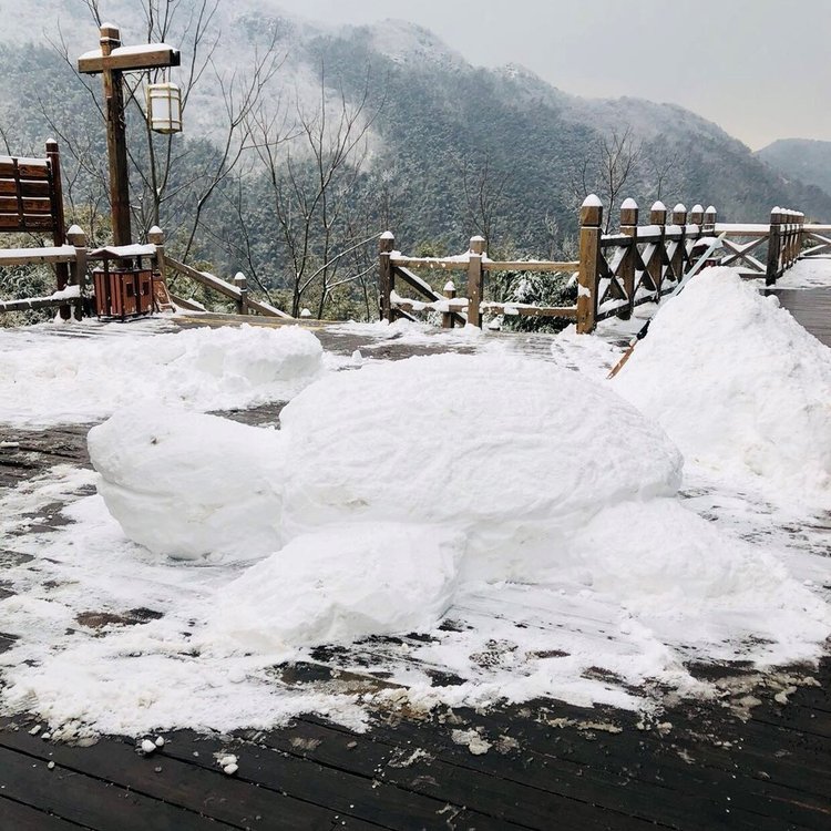 震惊！棉花代雪景区突发关闭事件，背后真相究竟为何？