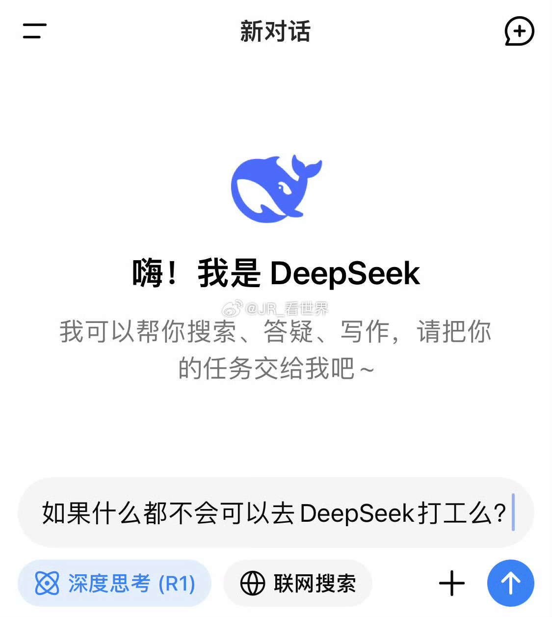 博士求职DeepSeek面试挑战，揭秘长达三小时的深度对话背后的秘密