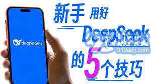 揭秘DeepSeek，理想伴侣仅存的个位数奇迹？探寻背后的真相！