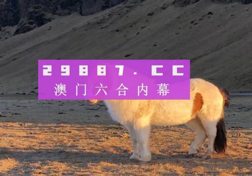 揭秘2025澳门天天开彩开奖结果背后的秘密，NE版99.814究竟意味着什么？