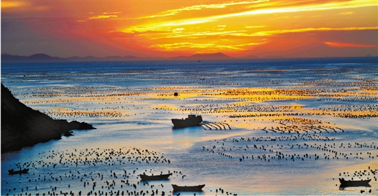 震撼！浙江海岛招守鸟人，4个月海岛生活究竟隐藏什么秘密？