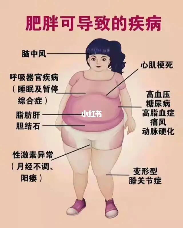 医生提醒：过度肥胖就是病