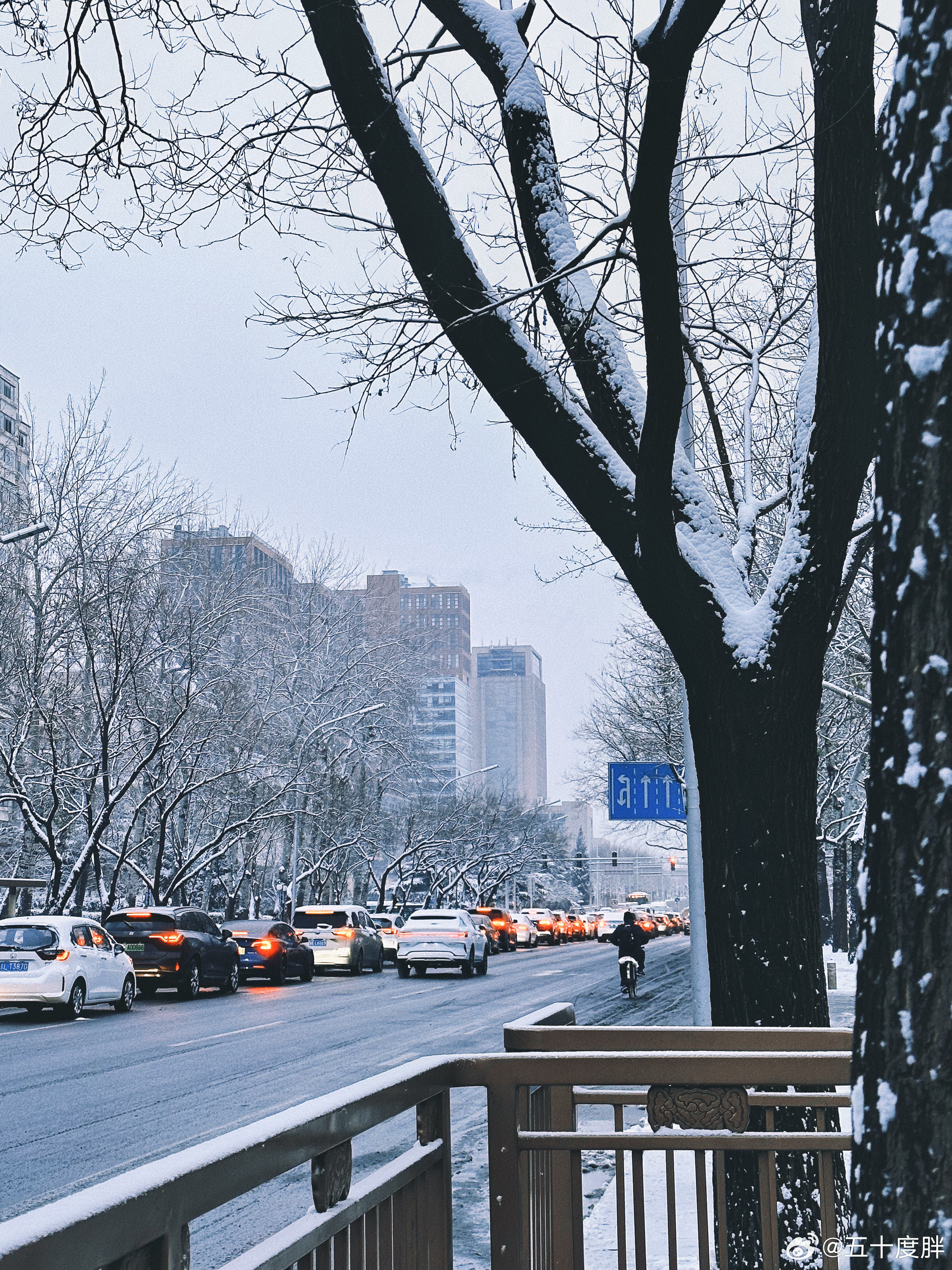 北京竟然下雪了