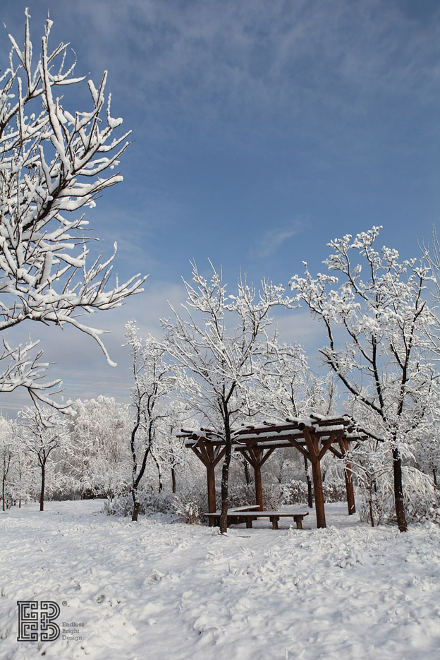 北京春雪飘飞